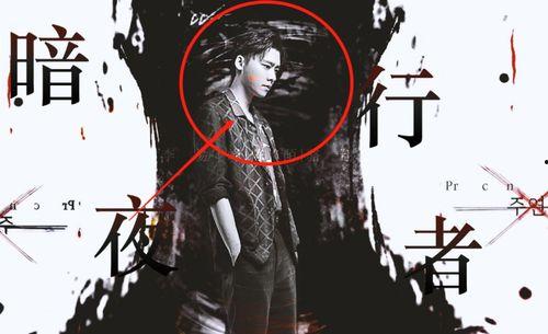女主爆料李易峰视频播放,揭秘娱乐圈背后的秘密  第2张