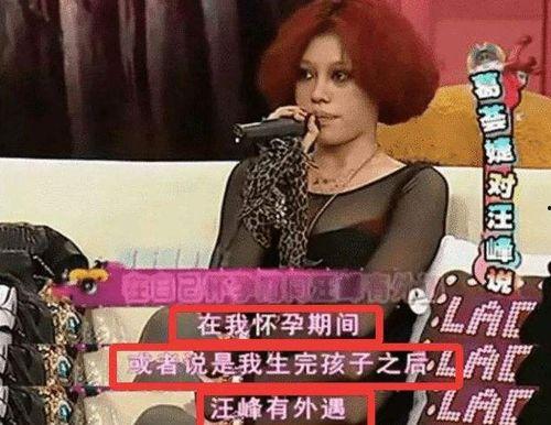 何兰田的前妻爆料视频,揭秘婚姻背后的惊人真相 第2张 何兰田的前妻爆料视频,揭秘婚姻背后的惊人真相 第2张