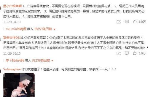 爱情而已群演爆料视频,爱情而已幕后花絮曝光 第1张 爱情而已群演爆料视频,爱情而已幕后花絮曝光 第1张