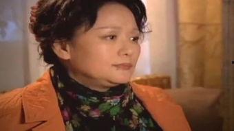 小姨在线观看,揭秘现代都市情感纠葛  第3张