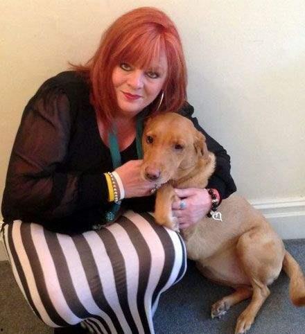 希狗视频在线观看,畅享欢乐时光,在线观看轻松娱乐 第2张 希狗视频在线观看,畅享欢乐时光,在线观看轻松娱乐 第2张