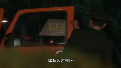 陆军一号在线观看全部,全程在线，揭秘精英特战队传奇  第3张