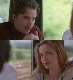 在线观看维也纳复仇,揭秘历史悬案的真相与复仇之路