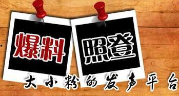 哪里新闻爆料,某知名企业涉嫌违规操作，内部人士曝光惊人内幕