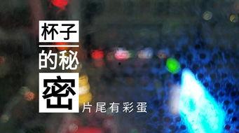 苏州饭店爆料视频最新,揭秘奢华背后的惊人真相  第3张