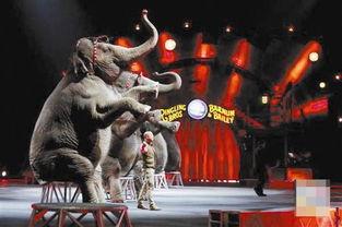 白色马戏团在线观看,揭秘神秘马戏团的奇幻之旅  第3张