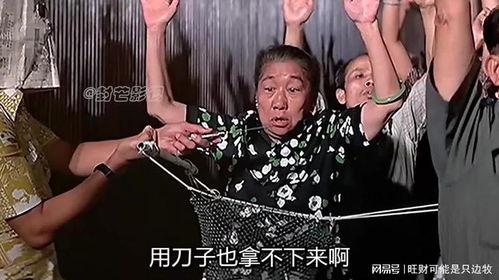 半斤八两 在线观看.,笑谈人生百态，揭秘市井烟火  第3张