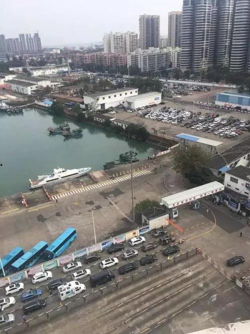 海口最新爆料,揭秘城市新动向与热点事件  第2张