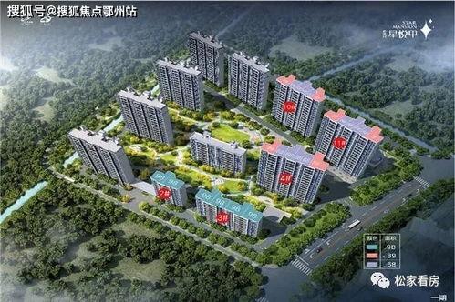 娱乐吃瓜酱星途报价,星途报价揭秘，明星身价大起底！  第2张