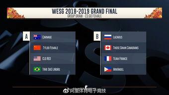 全球解说大爆料视频下载,视频下载背后的秘密与技巧  第2张