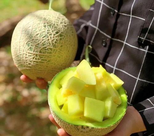 最近娱乐圈有什么瓜可吃,揭秘明星幕后故事与热点事件  第2张