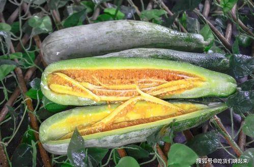 留学圈网红吃瓜,揭秘那些背后的“吃瓜”故事  第3张