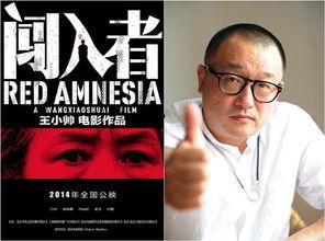 爆料王小帅完整视频,揭秘娱乐圈不为人知的真相  第2张