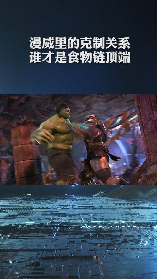 食物链电影完整版在线观看  第3张